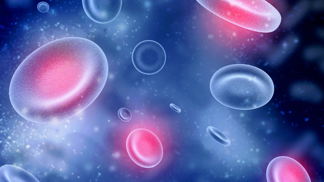 article-page-carousel-item--Liposomal NAD+ Enhances Delivery and Reduces Aging in Skin and Blood Vessel Cells