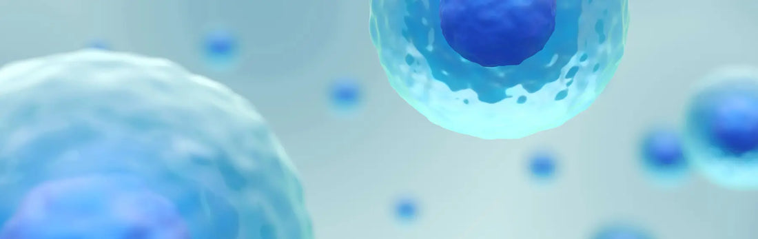 article-page-carousel-item--High-Dose NR is Safe & Does Not Deplete Methyl Pools in PD Trial