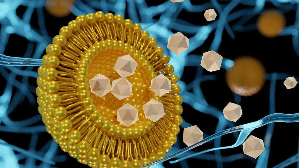 article-page-carousel-item--Liposomal NMN Enhances Stability and Skin Delivery