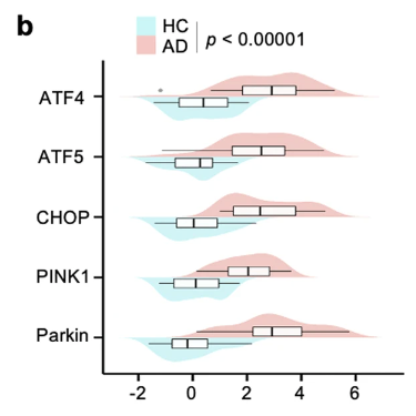 article-page-carousel-item--NMN Enhanced Mitochondrial Stress Response and Improved Cognition in an Alzheimerβs Mouse Model
