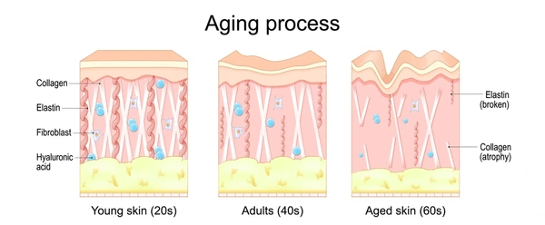 glutathione and chelation Holistic Medical Condition Treatment: IV Chelation Therapy