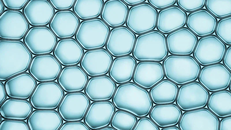article-page-carousel-item--CoQ10 & Reproductive Health: Powering Fertility Through Mitochondria and Antioxidant Defense