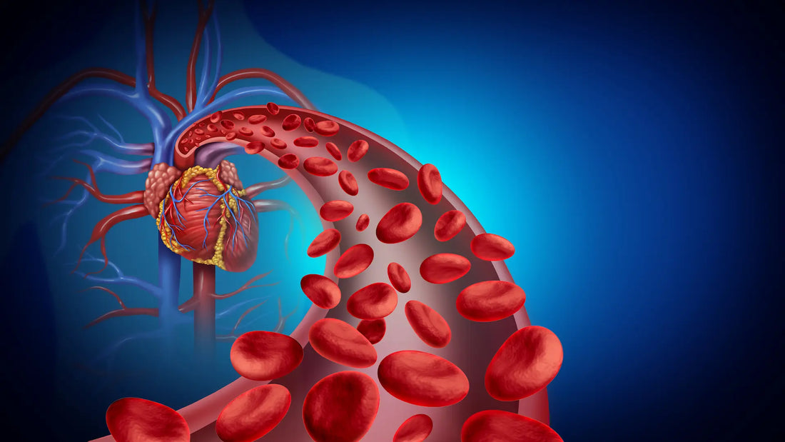 article-page-carousel-item--NAD+ Therapy Improves Cardiovascular Function in Heart Failure Patients
