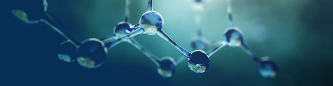 article-page-carousel-item--NMN Protects Against Alcohol Liver Disease in Mice