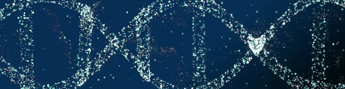 article-page-carousel-item--Quercetin Activates DNA Repair and Protects Against Oxidative Stress