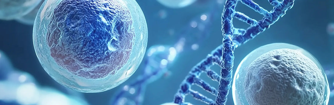article-page-carousel-item--Does NR Cause Cancer?  Response to A Recent Article
