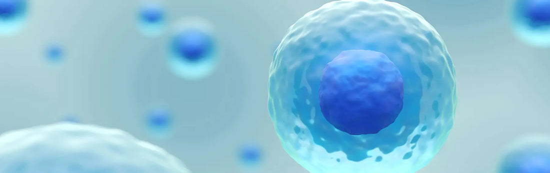 article-page-carousel-item--Revitalize Your Cells with NAD+