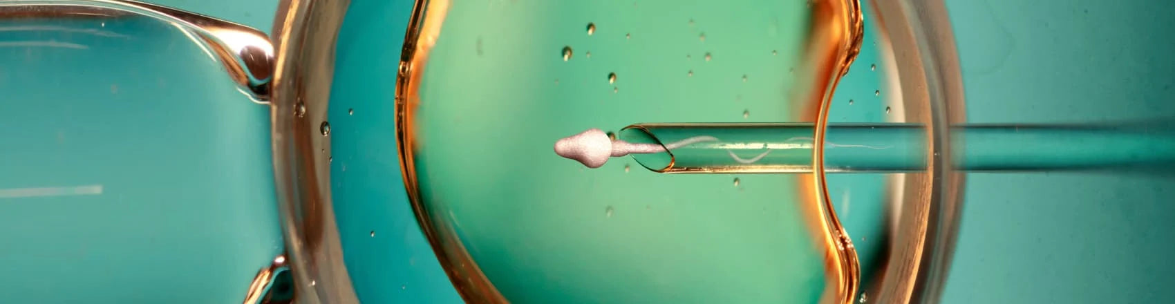 Human Study: IV NAD+ Improves IVF Embryo Quality – Renue By Science