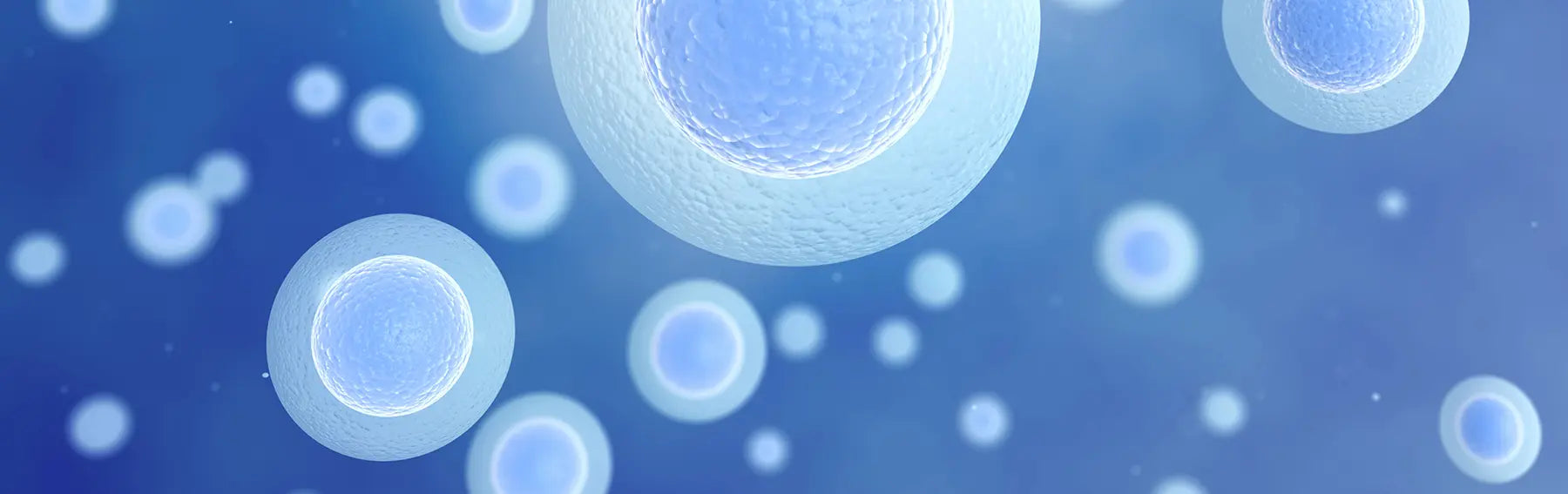Liposomal Glutathione Reduced Oxidative Stress and Improved Immune Fun – Renue By Science