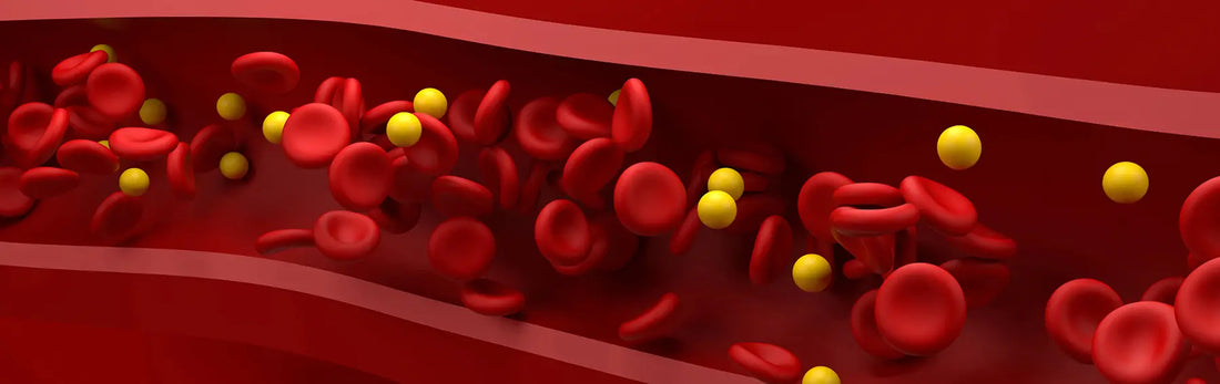 article-page-carousel-item--New Human Trial Shows NMN Reduced Blood Vessel Stiffness and Significantly Decreased Diastolic Blood Pressure