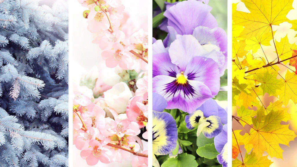 article-page-carousel-item--Seasonal NAD+ Optimization: Adapting Your Protocol Year-Round