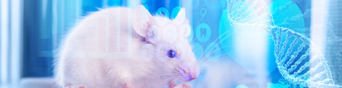 article-page-carousel-item--Resveratrol, Fisetin, & Exercise Boost Brain Health in Alzheimer’s Mice