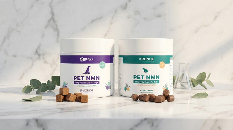 NMN for Pets: What Makes Our Chews Different