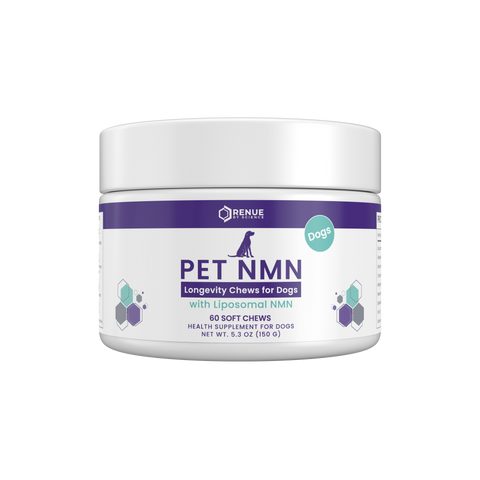 PET NMN Longevity Chews for Dogs