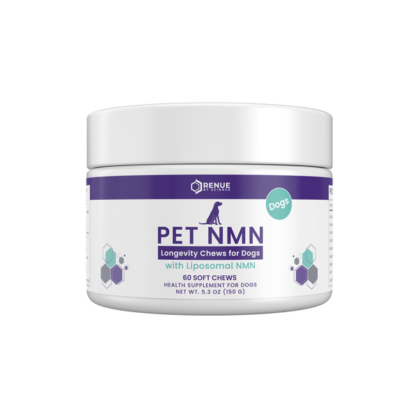 A white plastic jar of Renue Pet NMN Longevity Chews for Dogs with a purple and teal label, shown on a plain white background.