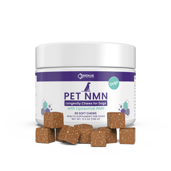 PET NMN Longevity Chews for Dogs