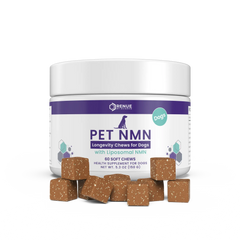 PET NMN Longevity Chews for Dogs
