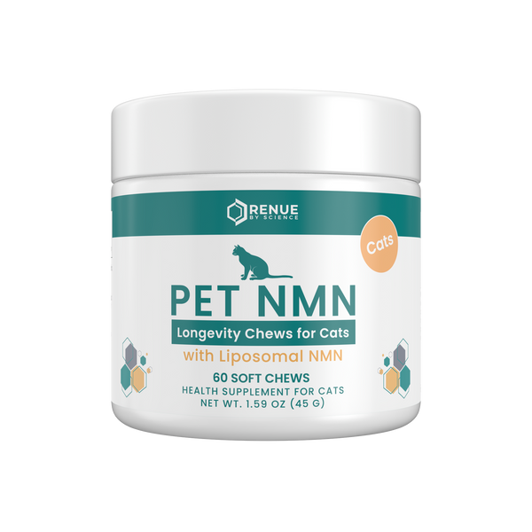 A white plastic jar of Renue Naturals Pet NMN Longevity Chews for Cats, featuring a teal and orange label on a clean white background.