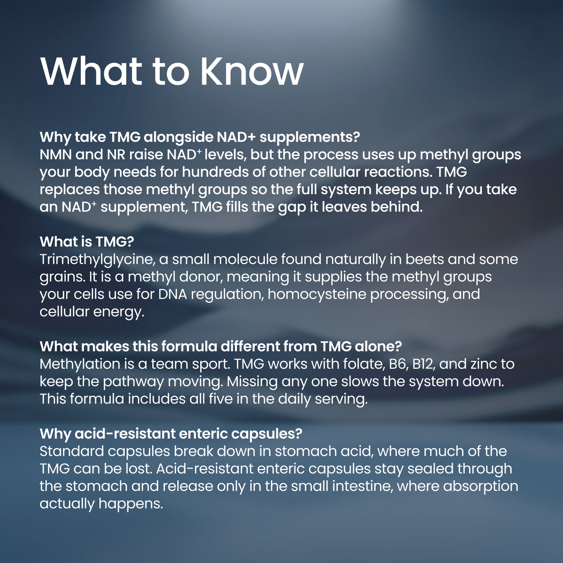 An informational graphic with the heading 'What to Know' and several paragraphs of white text on a dark blue textured background, explaining supplement considerations around TMG and NAD+.