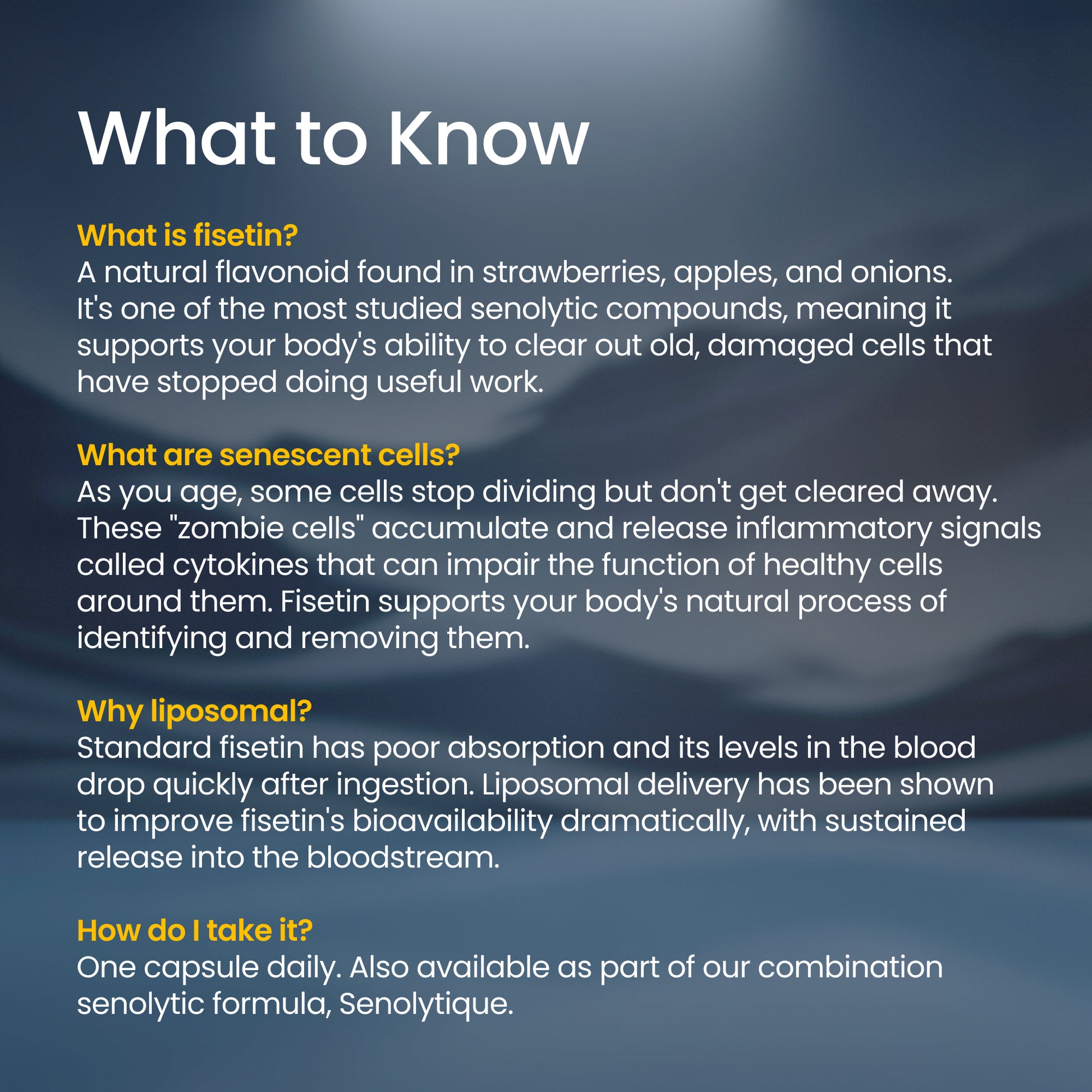 Information about fisetin, a natural flavonoid found in strawberries, apples, and onions, on a blue gradient background.