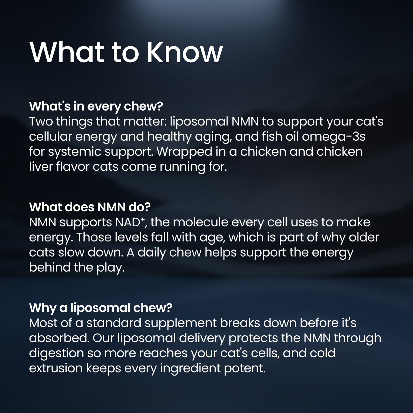 A dark informational graphic with the heading 'What to Know' and three paragraphs of white text explaining cat supplement benefits, ingredients, and absorption.