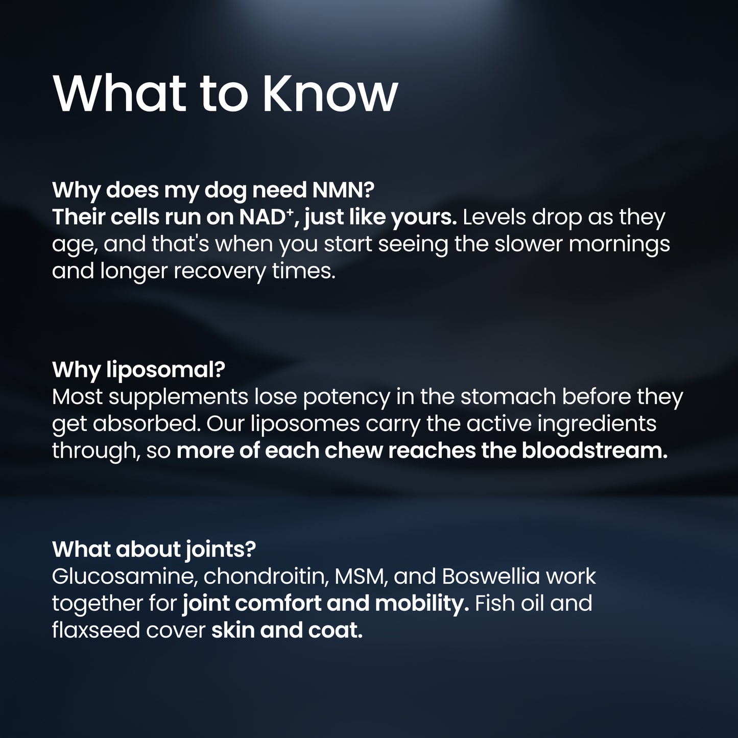 An informational graphic with the heading 'What to Know' on a dark blue background, containing three paragraphs of white text about a dog supplement, including NAD+ levels, liposomal delivery, and joint support ingredients.
