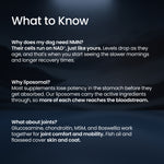 An informational graphic with the heading 'What to Know' on a dark blue background, containing three paragraphs of white text about a dog supplement, including NAD+ levels, liposomal delivery, and joint support ingredients.