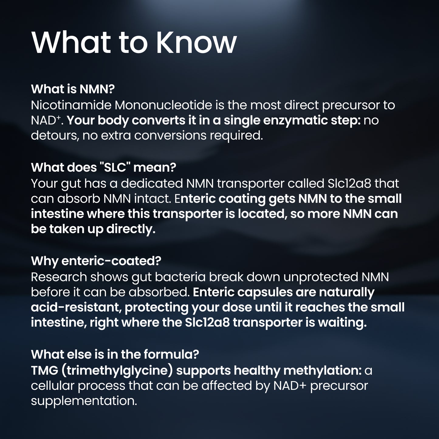 An informational graphic with the heading 'What to Know' on a dark blue background, containing five paragraphs of white text about NMN, SLC2A2, enteric coating, and TMG benefits.