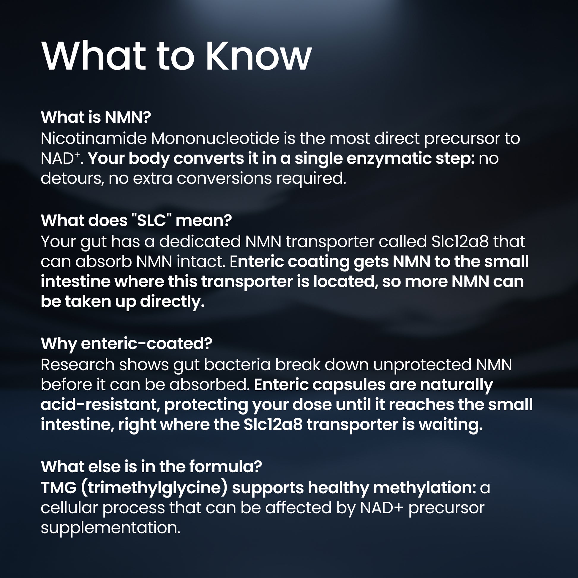 An informational graphic with the heading 'What to Know' on a dark blue background, containing five paragraphs of white text about NMN, SLC2A2, enteric coating, and TMG benefits.
