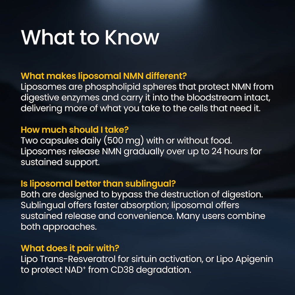 Informational text about liposomal NMN on a dark background