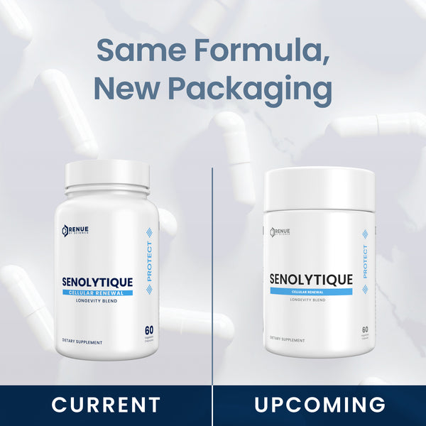 Senolytique