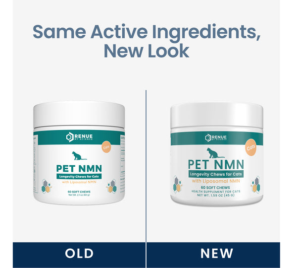 A promotional comparison graphic for Benué Pet NMN soft chews for cats, showing the old and new packaging designs side by side under the headline 'Same Active Ingredients, New Look.' The left container is labeled 'OLD' and the right container is labeled 'NEW,' with the new version featuring a teal band and more colorful label accents.