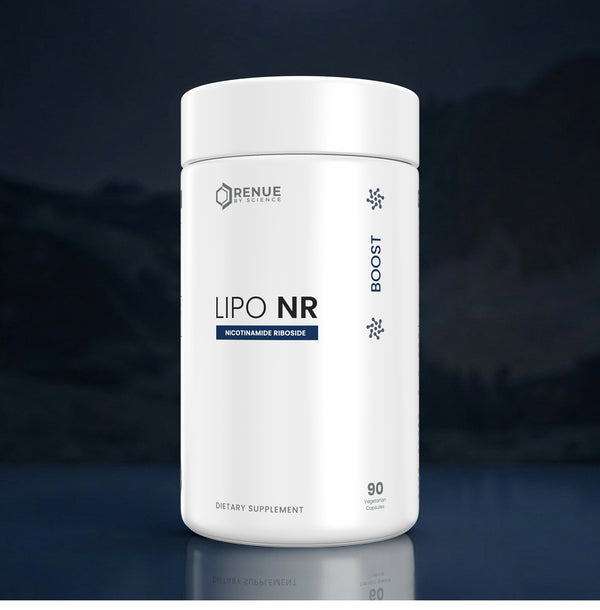 A white cylindrical bottle of Renue Labs Lipo NR dietary supplement, featuring a clean white label with blue and black text, set against a dark, moody background with a subtle reflection below.