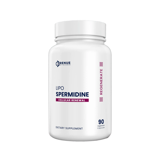 Supplement bottle labeled 'Lipo Spermidine' by Renue on a reflective surface with a dark background