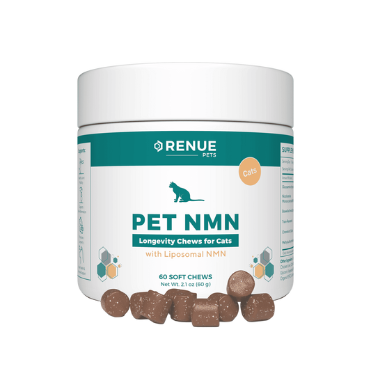 PET NMN Longevity Chews for Cats
