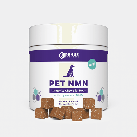 PET NMN Longevity Chews for Dogs