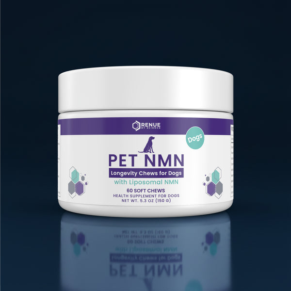 A white plastic jar of Renue Pet NMN Longevity Chews for Dogs, featuring a white label with purple and teal accents, set against a dark navy reflective background.
