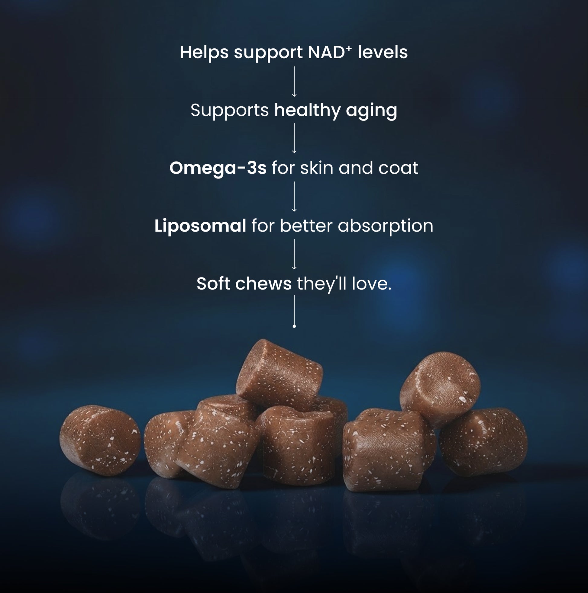 A pile of small brown soft chews with white specks, shown on a dark blue reflective surface with white text above describing benefits: helps support NAD+ levels, supports healthy aging, Omega-3s for skin and coat, liposomal for better absorption, and soft chews they'll love.