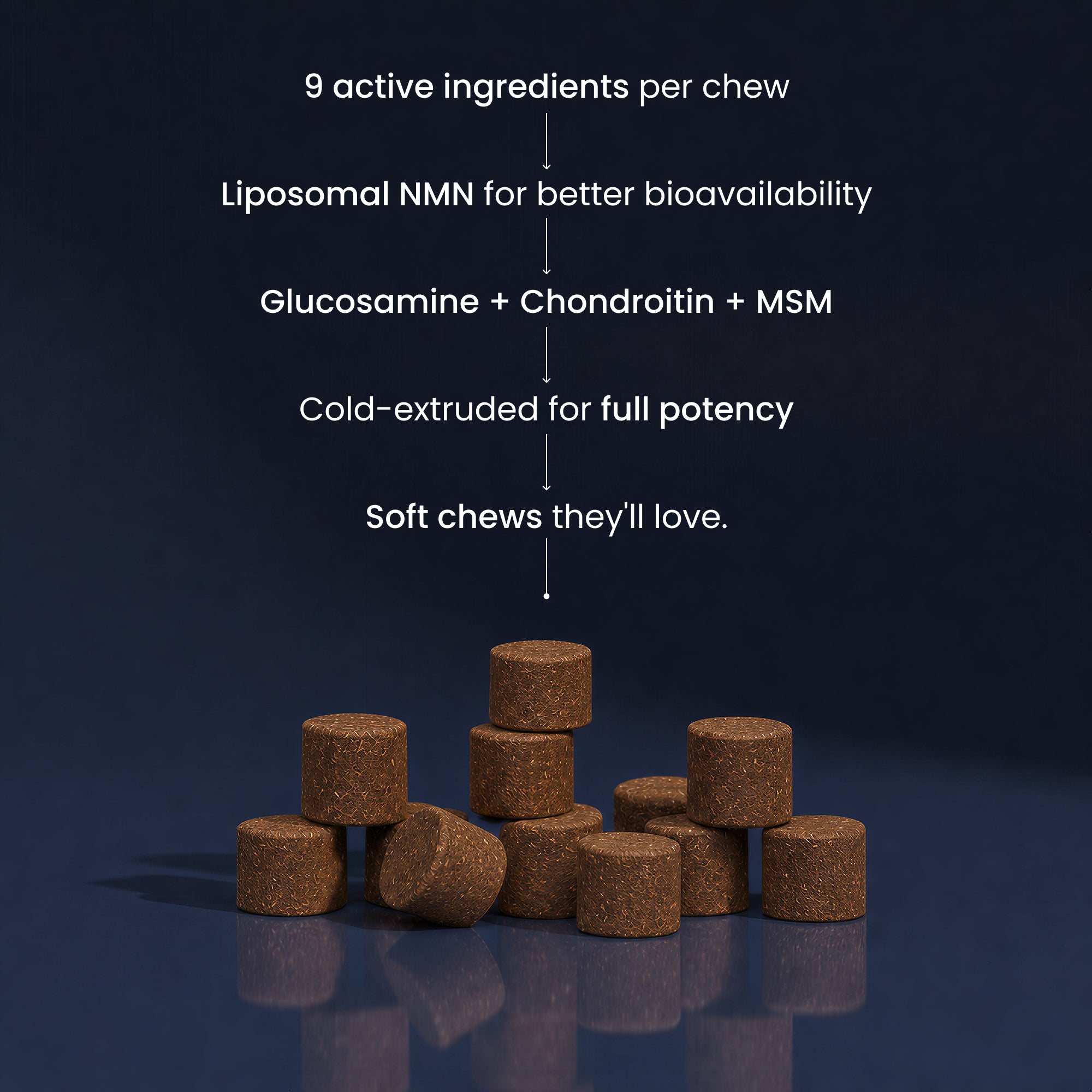 PET NMN Longevity Chews for Dogs – Renue By Science