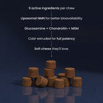 A pile of small brown cylindrical supplements on a dark blue reflective surface, with white text above describing their ingredients and benefits.
