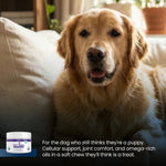 A golden retriever dog sits on a couch in a warm indoor setting, with a small jar of pet joint supplement shown in the lower left corner and descriptive text at the bottom.