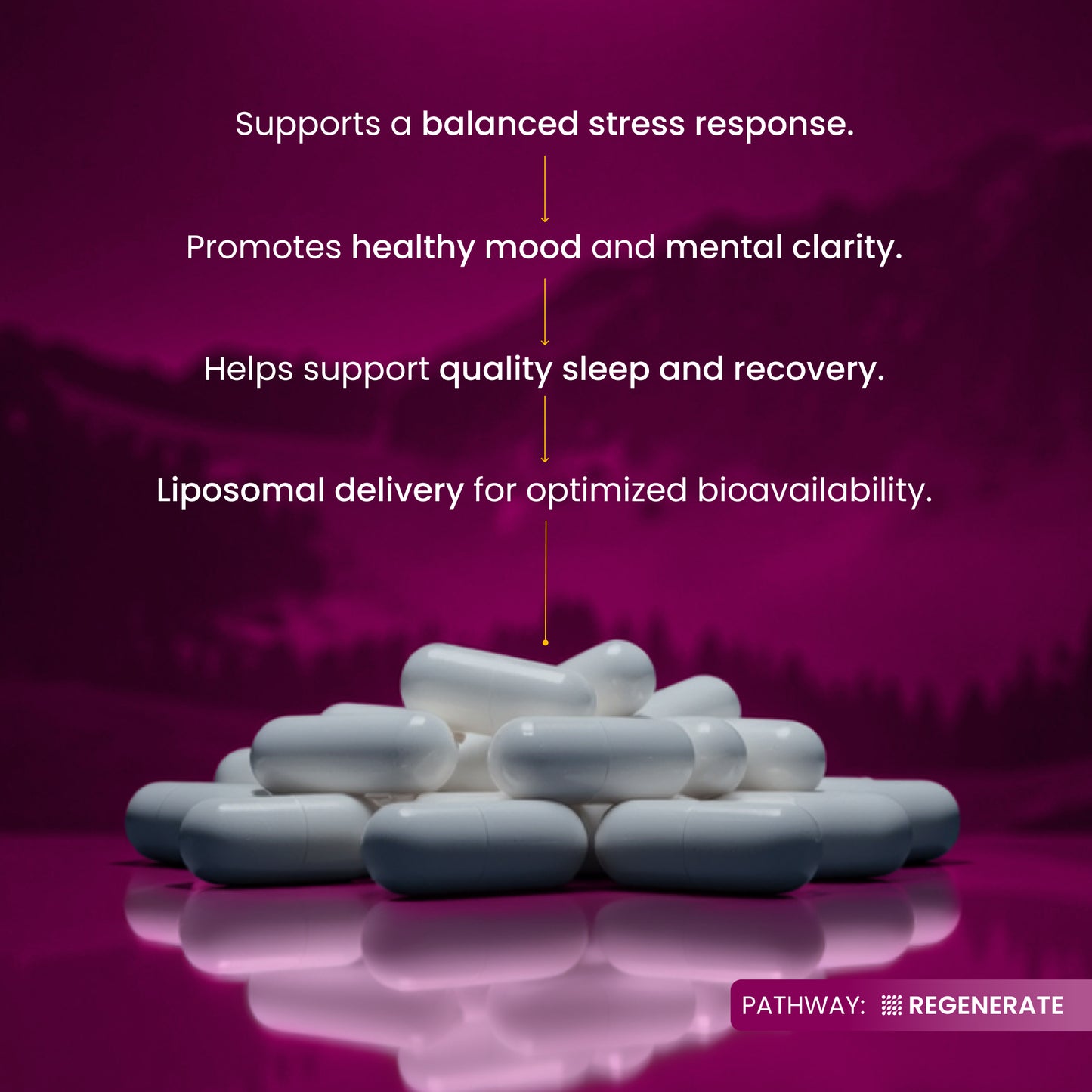 White pills on a purple background with text about stress response, mood, sleep, and recovery.