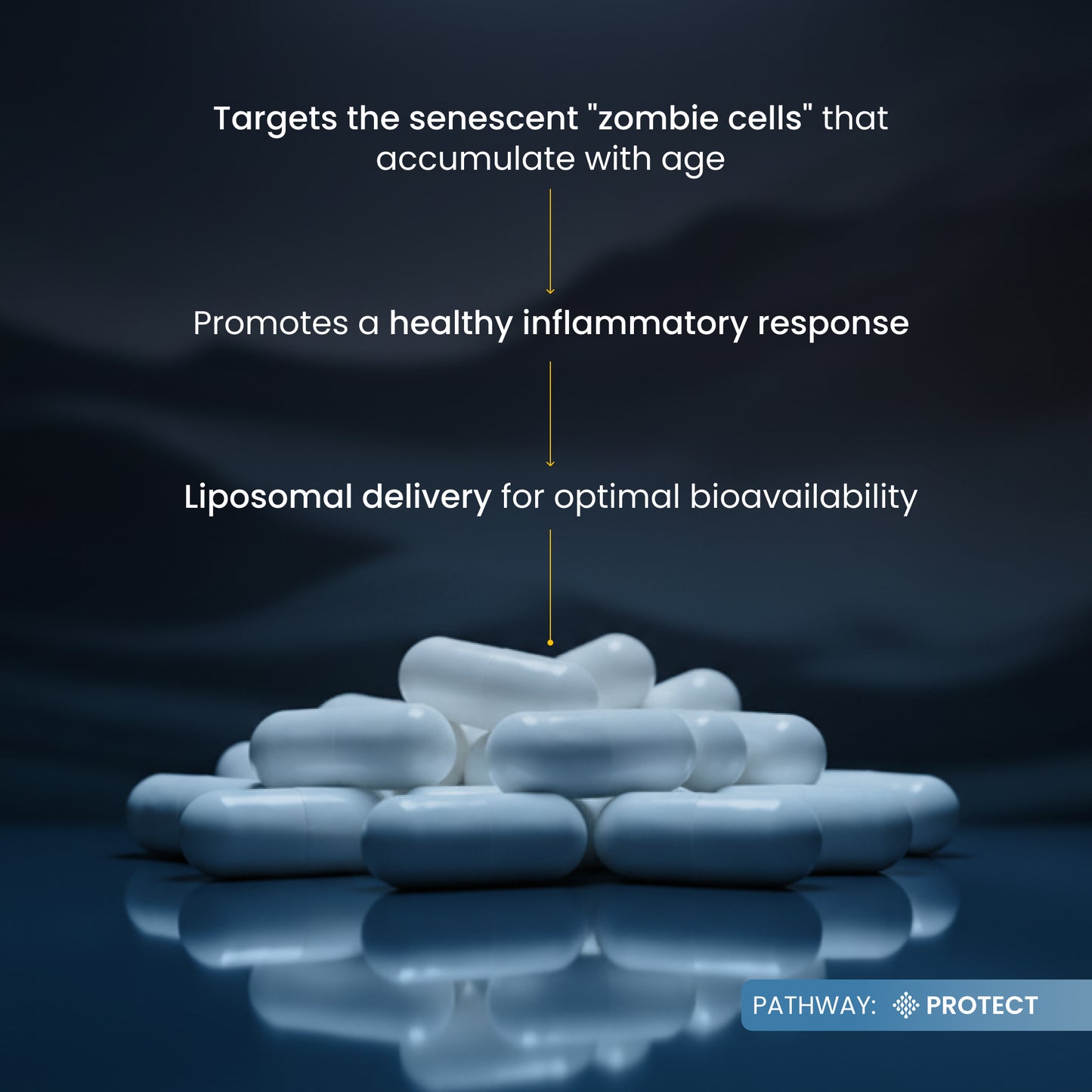 White capsules with text about targeting senescent cells and promoting a healthy inflammatory response on a dark background.