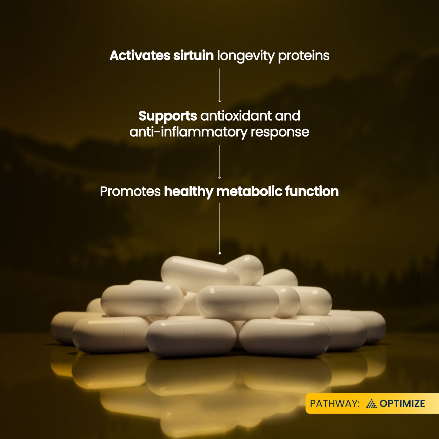 White capsules arranged on a reflective surface against a dark warm-toned background, with text overlays describing benefits: activates sirtuin longevity proteins, supports antioxidant and anti-inflammatory response, and promotes healthy metabolic function. A yellow label in the bottom right reads PATHWAY: OPTIMIZE.