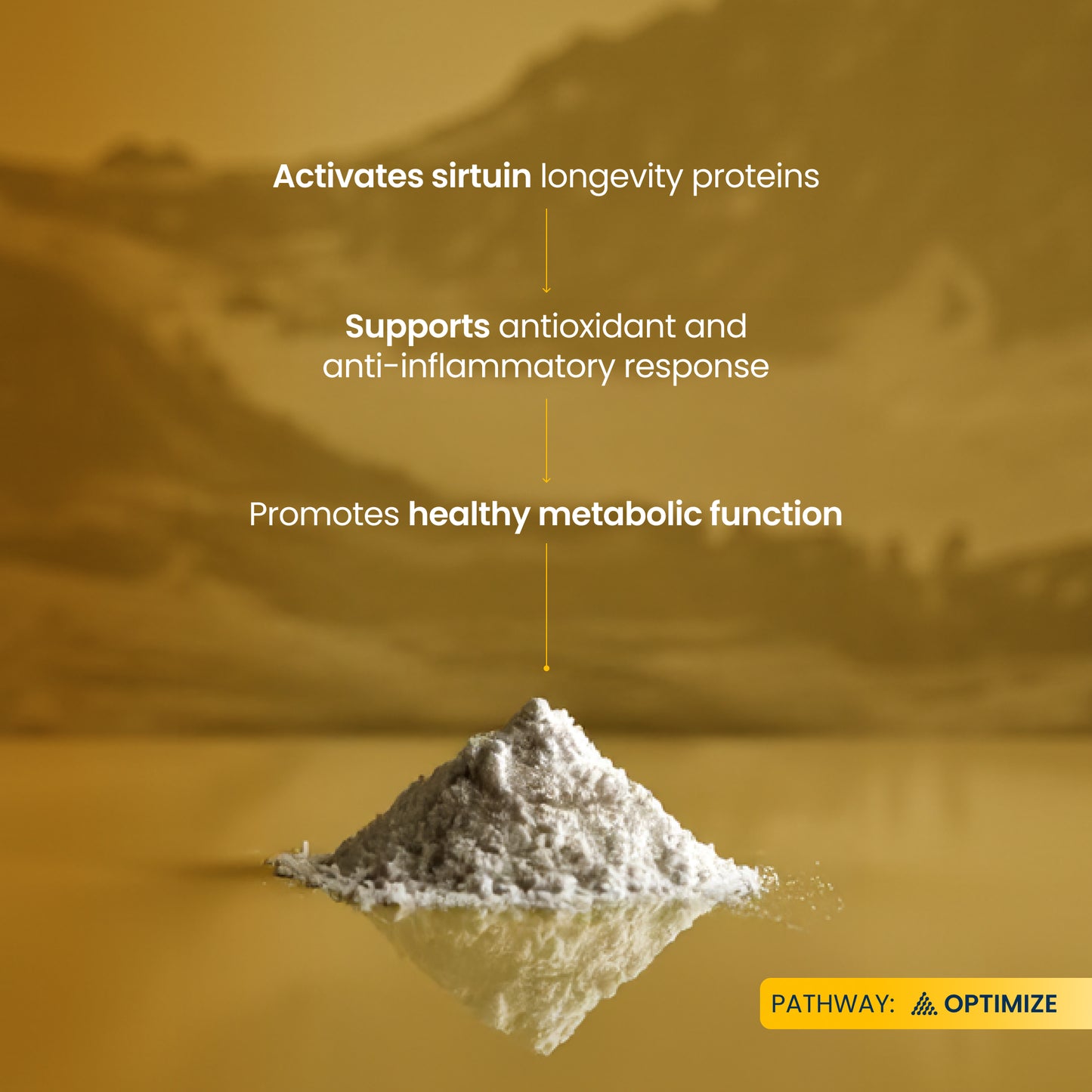 Powder on a reflective surface with text about sirtuin proteins and health benefits, set against a blurred natural landscape.