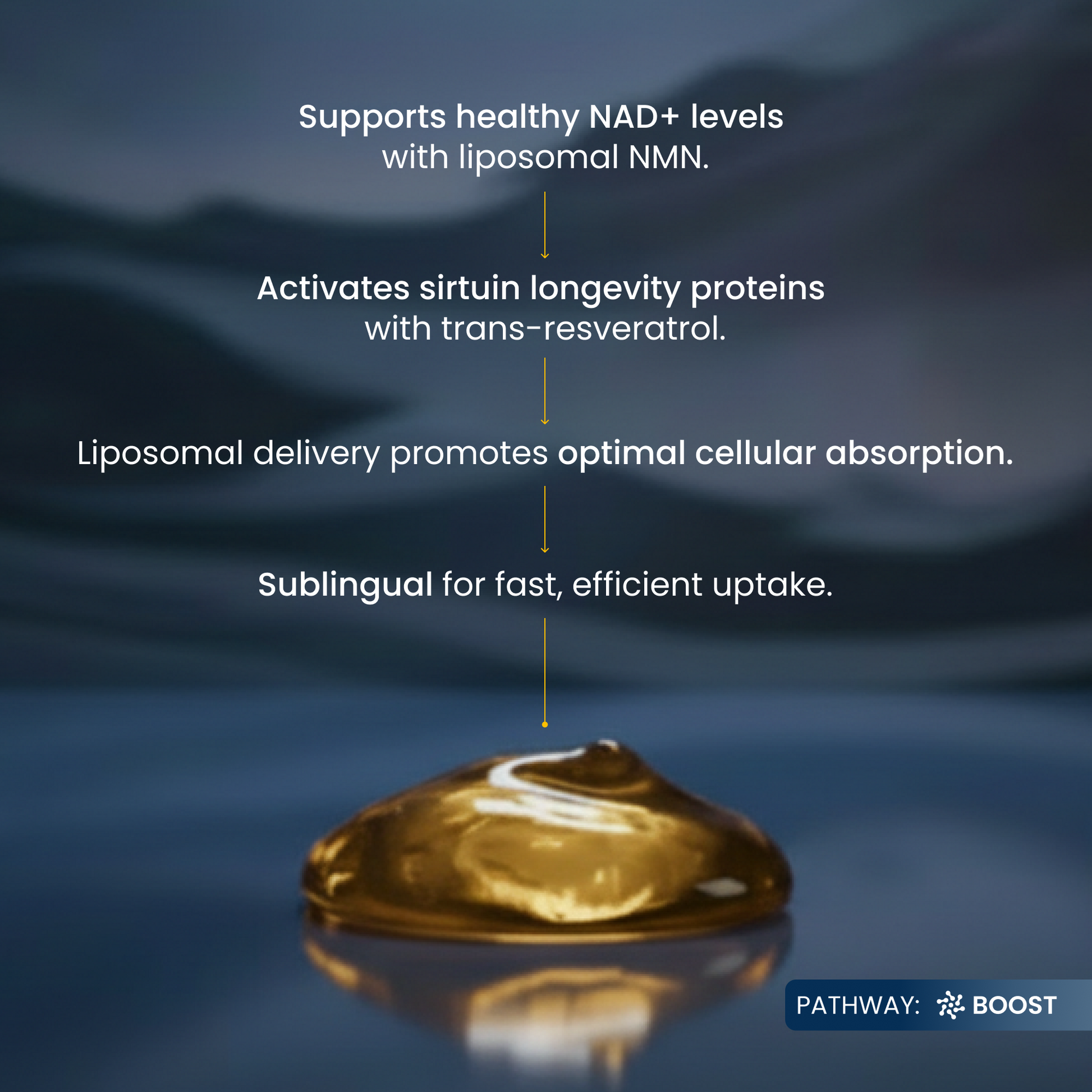 Gold droplet on a reflective surface with text about NAD+ levels and liposomal delivery.