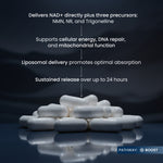 White capsules arranged in a pile on a dark reflective surface, with white text above describing lipidosomal delivery and NAD+ precursor support. A small 'PATHWAY: BOOST' label appears in the bottom right corner.