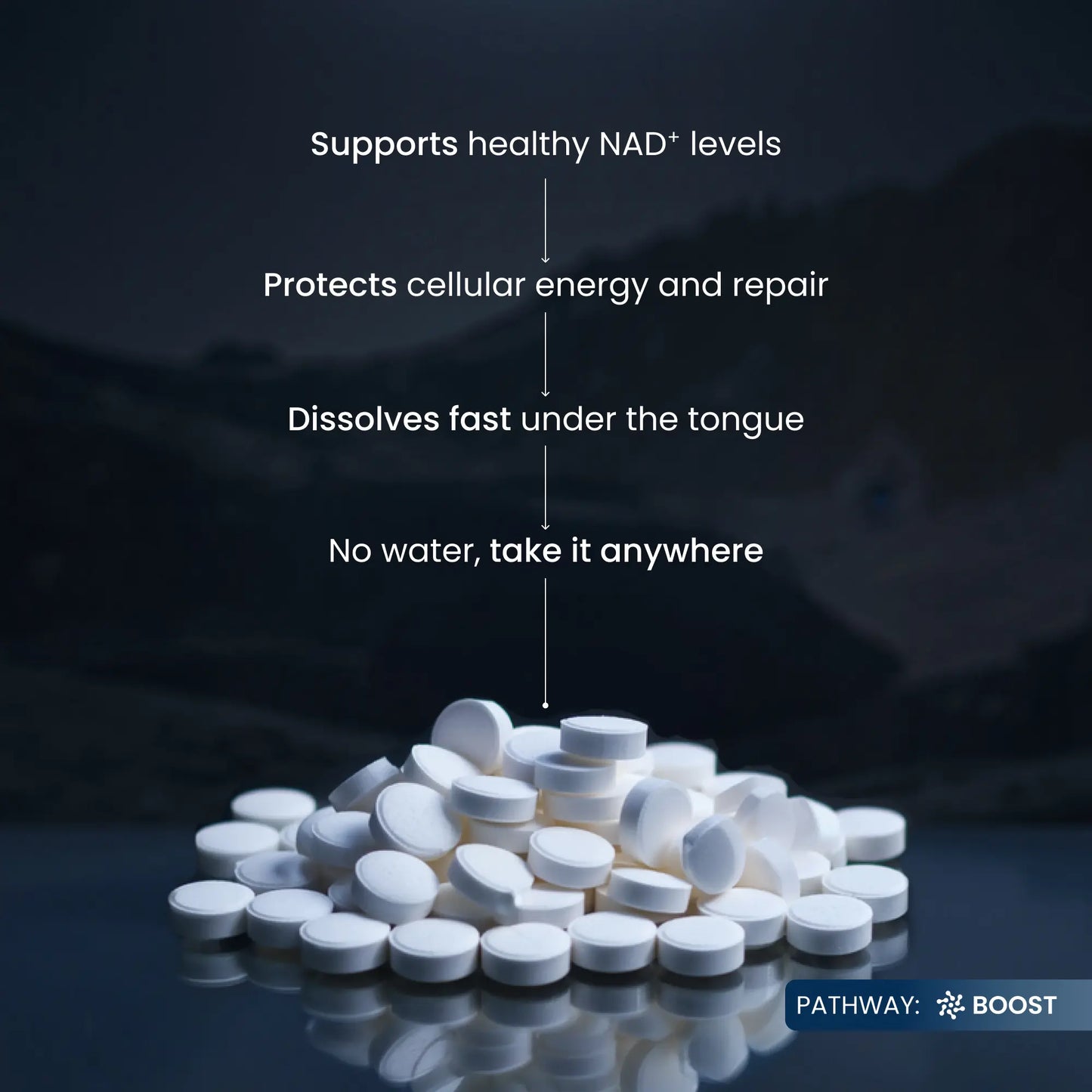 NMNs Fast Dissolve Tabs