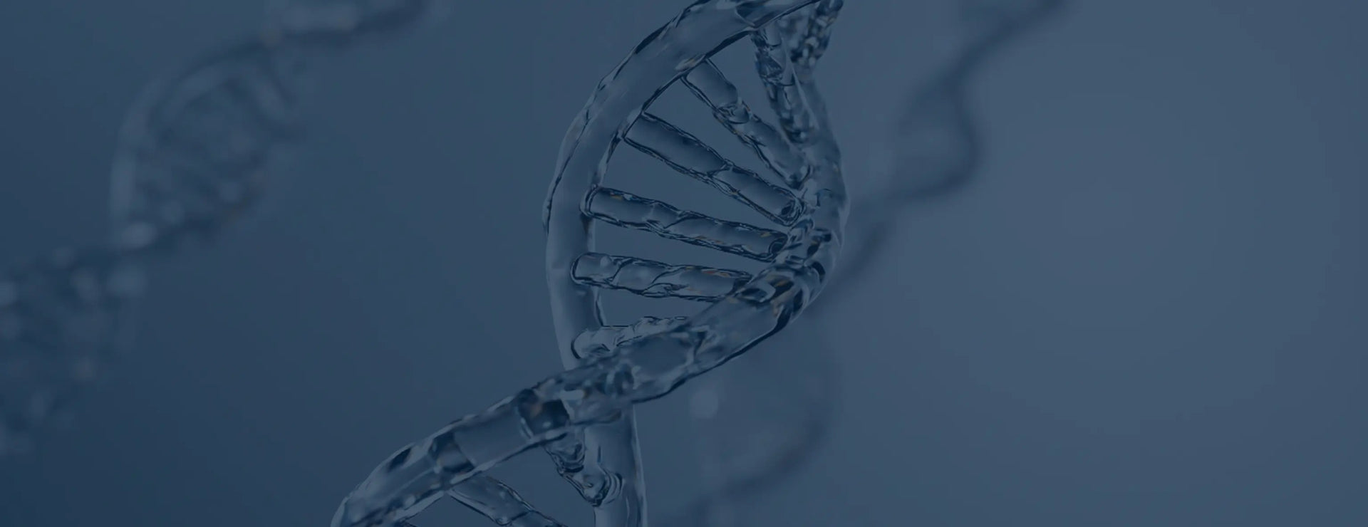 Close-up of a DNA double helix on a blue background
