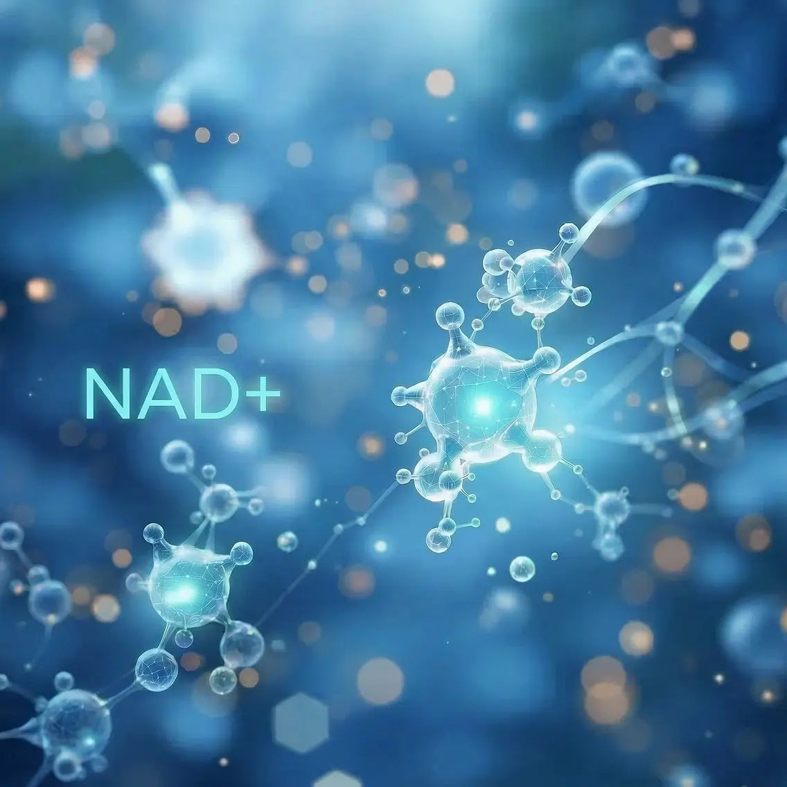 NAD+ molecule illustration on a blue background